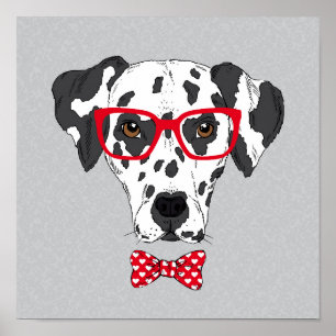 Fashionable Dalmatian Poster