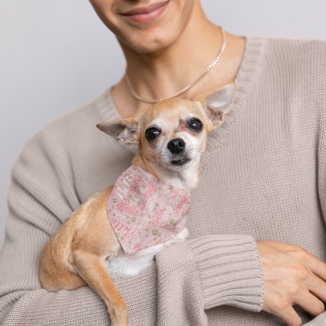 Fashionable Dog Bandana with Name and Paws (Creator Uploaded)