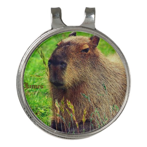 Fashionable Fun Animal Capybara Golf Hat Clip