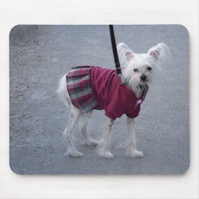 Fashionable Powderpuff Mouse Pad (Front)