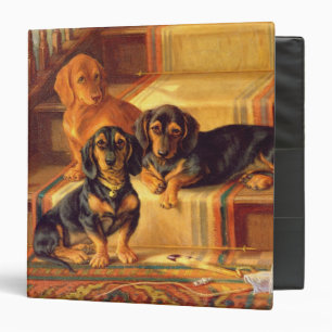 Fashionable Refinities 3 Ring Binder