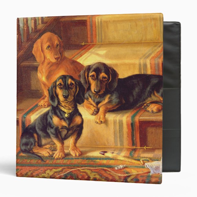 Fashionable Refinities 3 Ring Binder (Front/Inside)