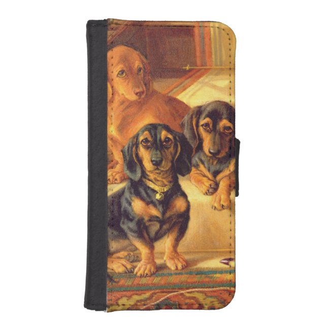 Fashionable Refinities iPhone Wallet Case (Front)