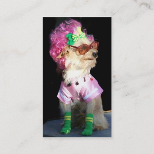 Customizable Fashionable Toy Dog Business Cards