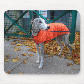 Fashionable Whippet Mouse Pad