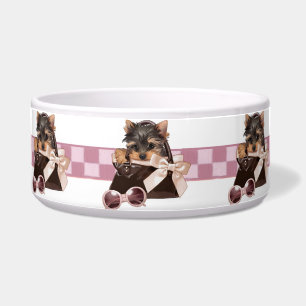 Fashionista Yorkie Bowl