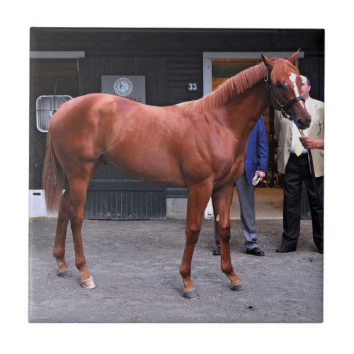 Fasig Tipton Select Sales at Saratoga Ceramic Tile