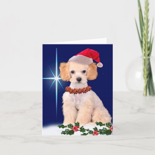 Fassist Poodle Greeting Card