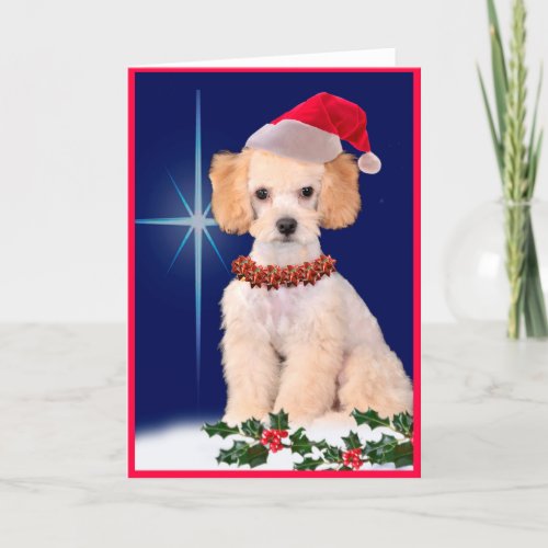 Fassist Poodle Holiday Greeting Card