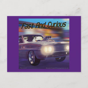 Fast Cats Hilarious Rick London Postcard