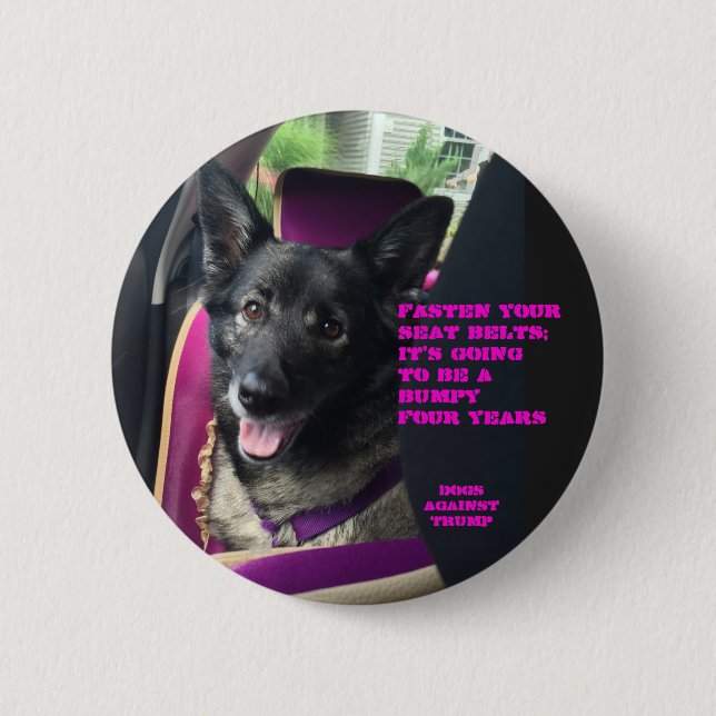 Fasten your seat belts button (Front)