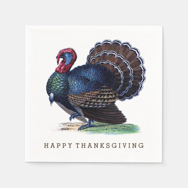Fat Antique Turkey Thanksgiving Napkins (Front)