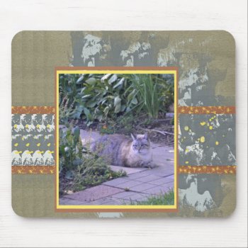 Fat Beige Tabby On The Sidewalk  Abstract Frame Mouse Pad by toots1 at Zazzle