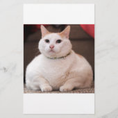 Fat Cat (Front)