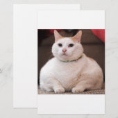 Fat Cat (Front/Back)