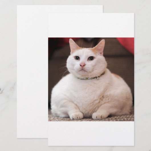 Fat Cat (Front/Back)