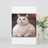 Fat Cat (Standing Front)