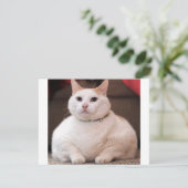 Fat Cat (Standing Front)