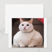 Fat Cat (Front/Back)