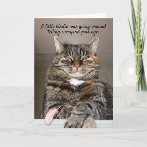 Fat Cat And Little Birdie Funny Birthday Card