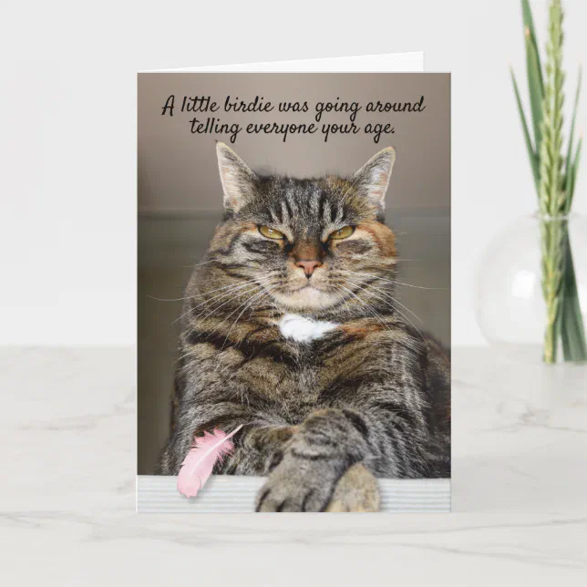 Fat Cat And Little Birdie Funny Birthday Card | Zazzle