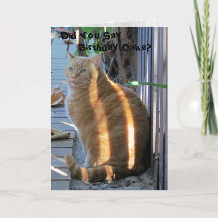 Fat Cat Birthday Card | Zazzle.com