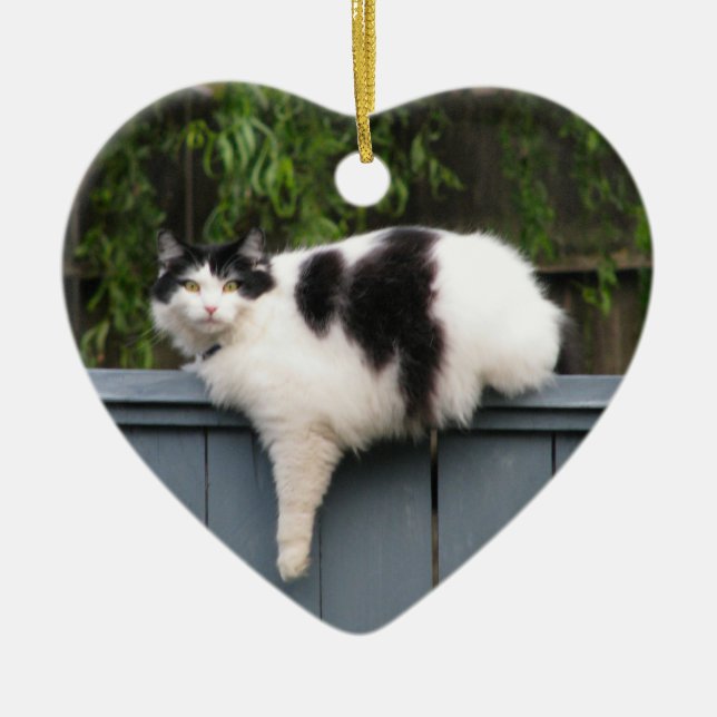 Fat Cat On Fence Ceramic Ornament (Front)