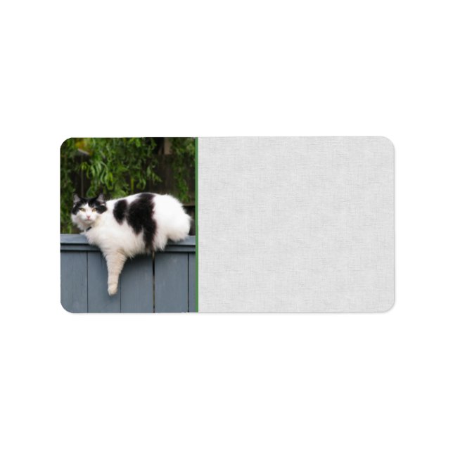 Fat Cat On Fence Label (Front)