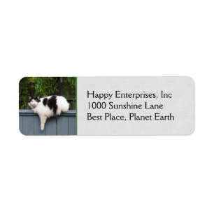 Fat Cat On Fence Label