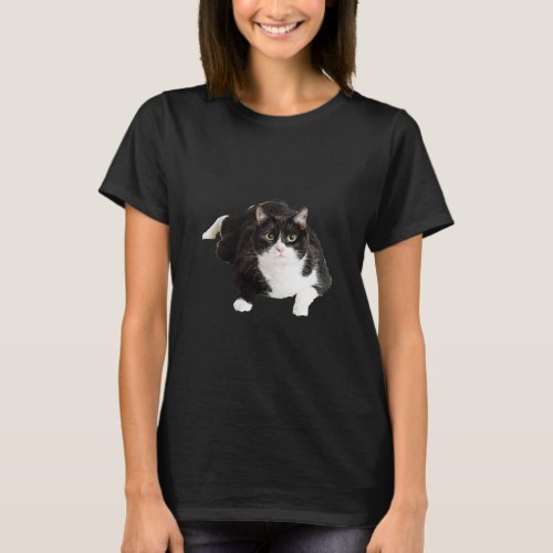 Fat Cat Sitting Down For Crazy Cat Lady And Moms  T_Shirt