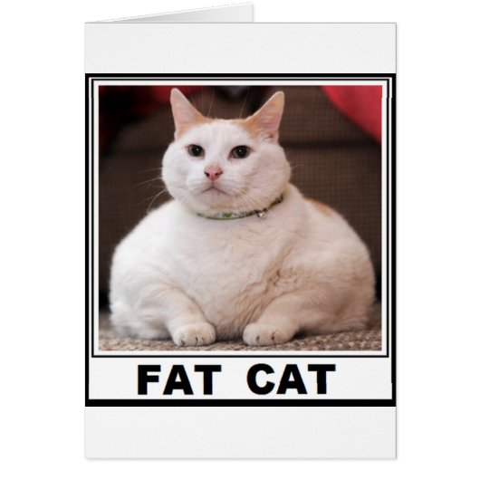FAT CAT SMILE CARDS (Front)