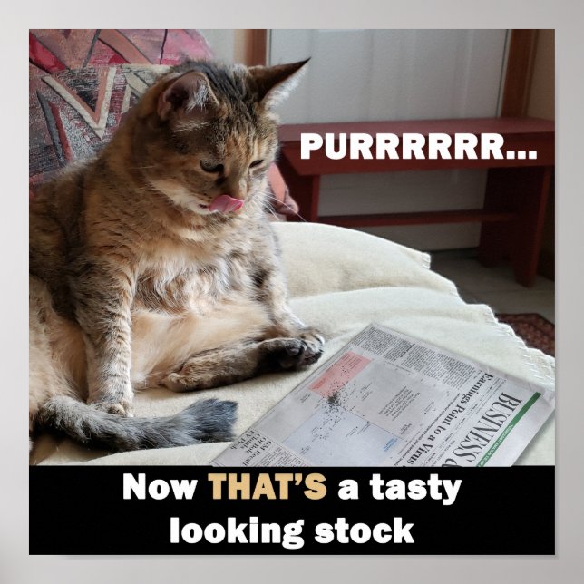 Fat Cat Tasty Stock Meme Poster (Front)
