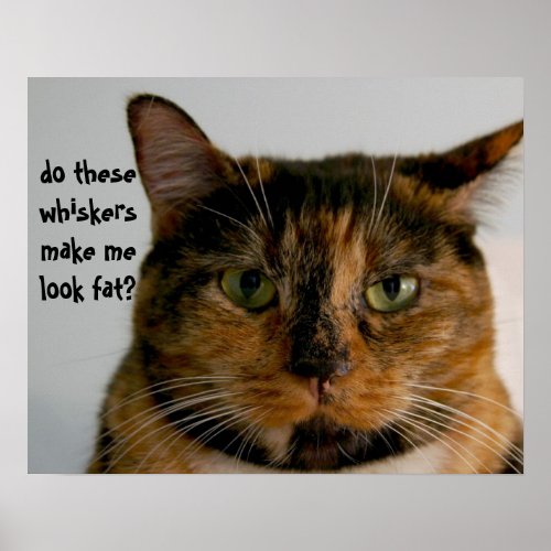 Fat Cat with Attitude funny cat poster