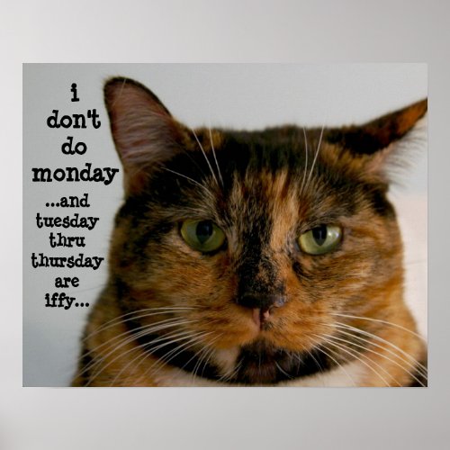 Fat Cat with Attitude i dont do monday Poster