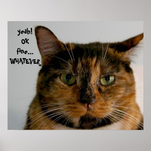 Fat Cat with Attitude yeah OK fine WHATEVER Poster