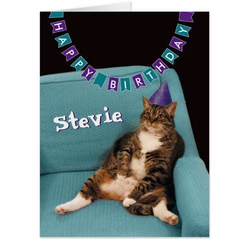 Fat Cat with Purple Hat Funny Happy Birthday Card