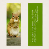 Fat Chipmunk with Treat (Front & Back)