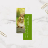 Fat Chipmunk with Treat (Office)