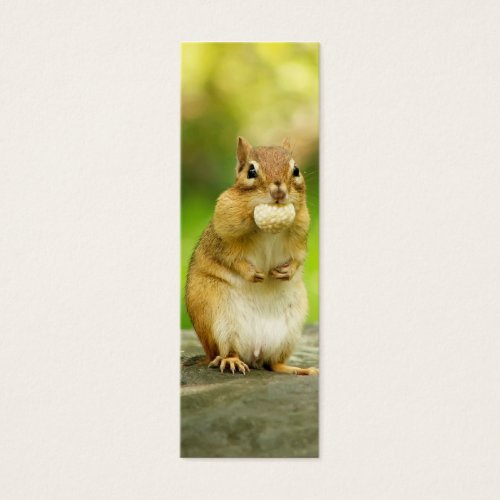 Fat Chipmunk with Treat Business Card Templates