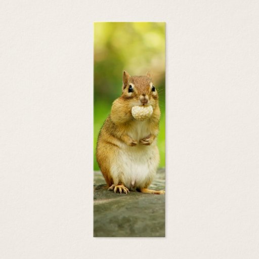 Customizable Fat Chipmunk with Treat Business Card Templates