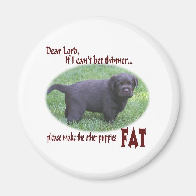 Fat Chocolate Lab Puppy Humor Magnet (Front)