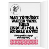 FAT FAIRY WISHES (Inside (Left))