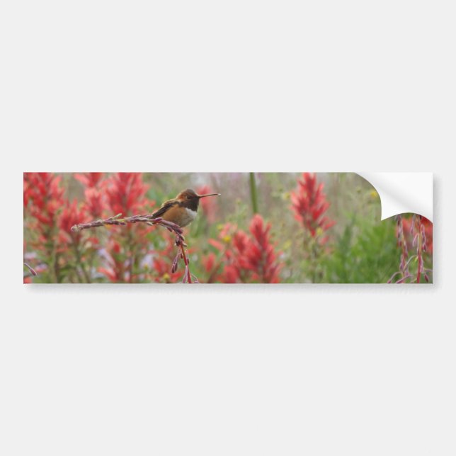 Fat little bird bumper sticker (Front)