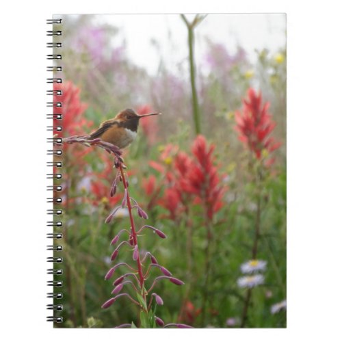 Fat little bird notebook