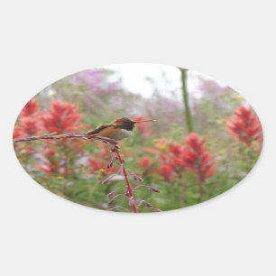 Fat little bird oval sticker