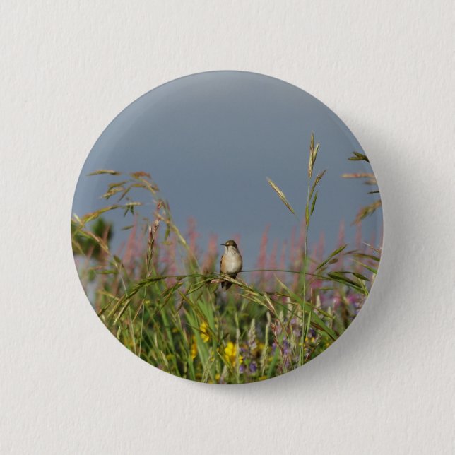 Fat little Hummingbird Button (Front)