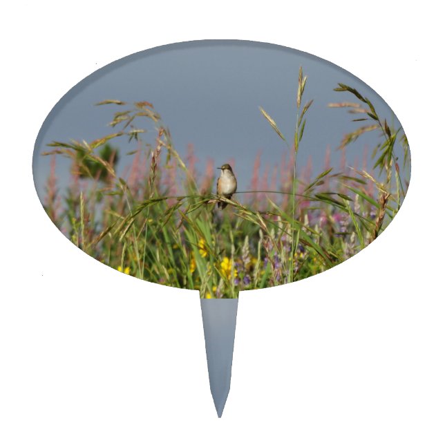 Fat little Hummingbird Cake Topper (Front)