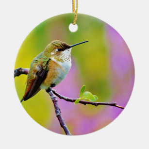 Fat little  Hummingbird Ceramic Ornament