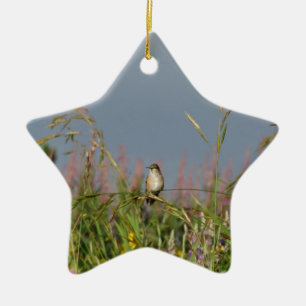 Fat little Hummingbird Ceramic Ornament