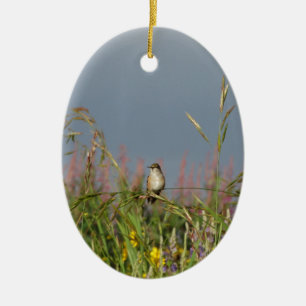 Fat little Hummingbird Ceramic Ornament
